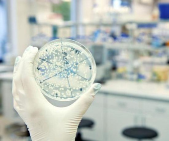 Центр «Биоинженерия» РАН примет участие в работе по созданию противоопухолевых препаратов на основе пептидов в рамках российско-кубинского сотрудничества НПО «Микроген»