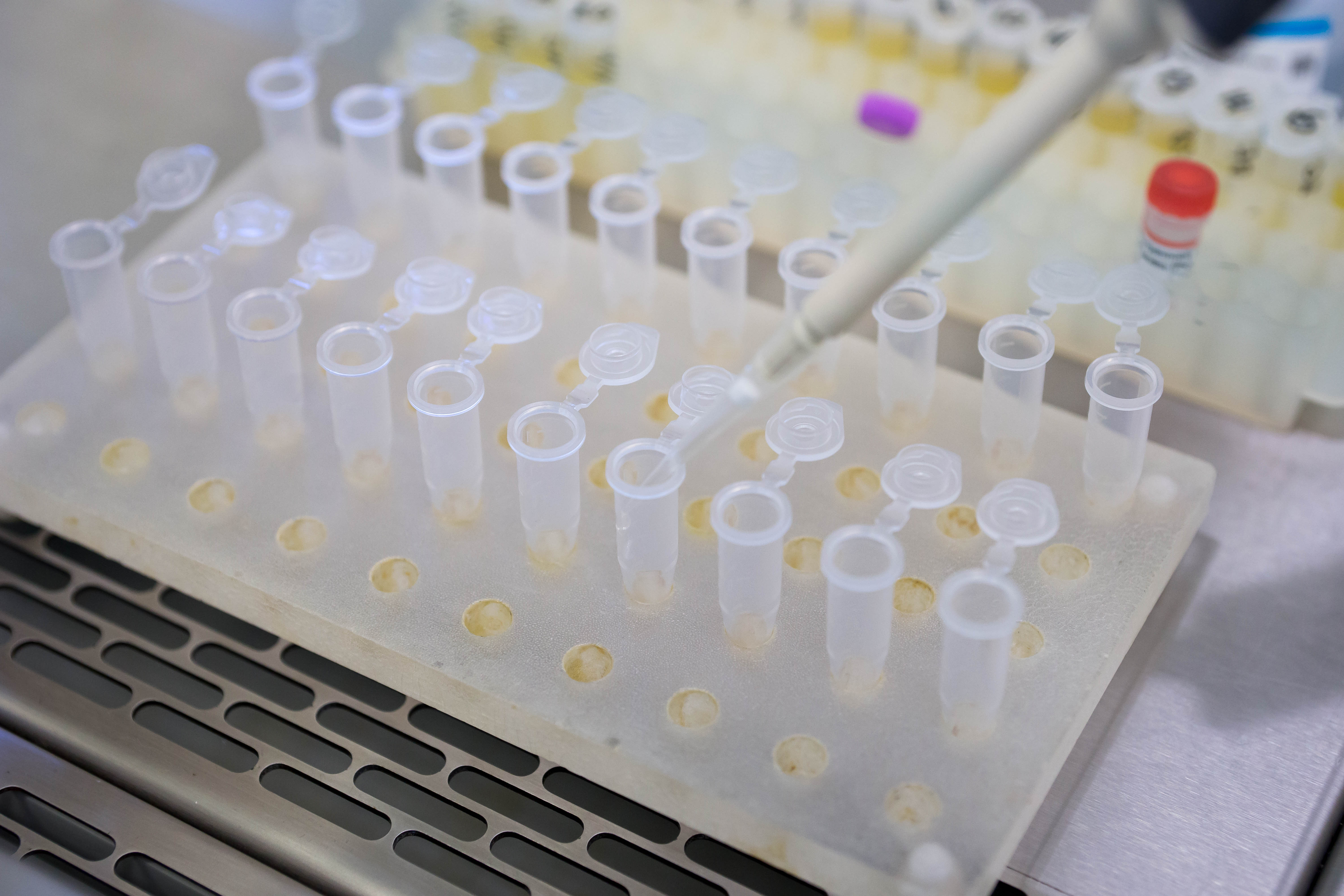 Качество Качество